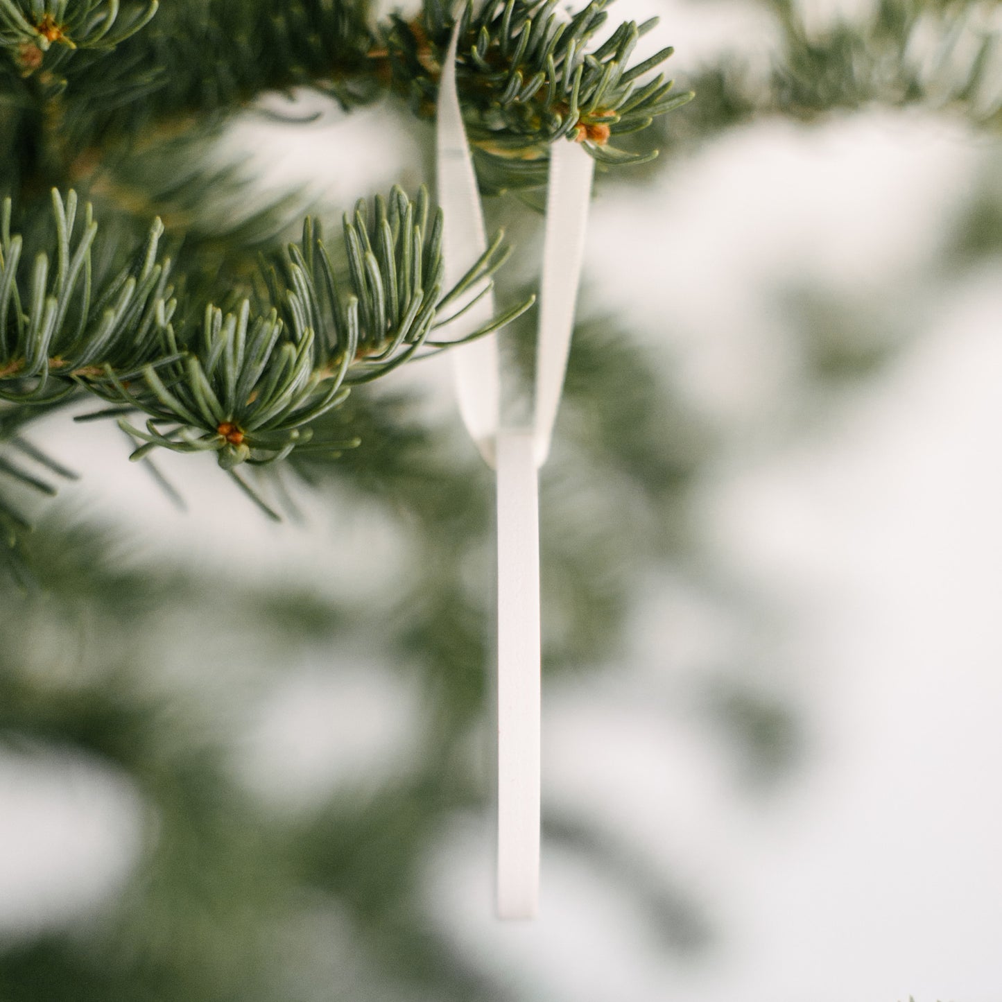 Funny Jesus Christmas Ornament